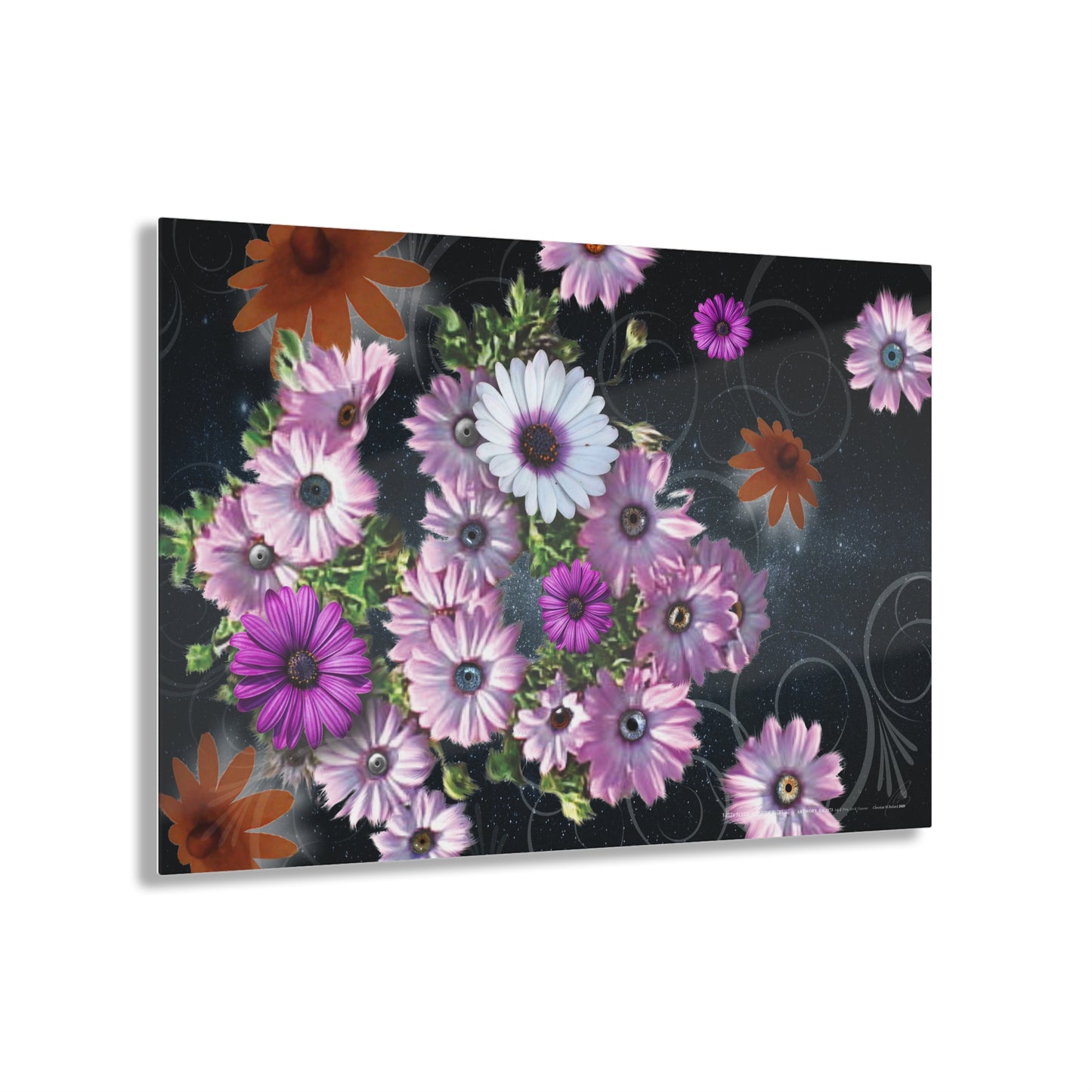 Fuzzy Flying Flip-Fone Flowers - Acrylic Panel