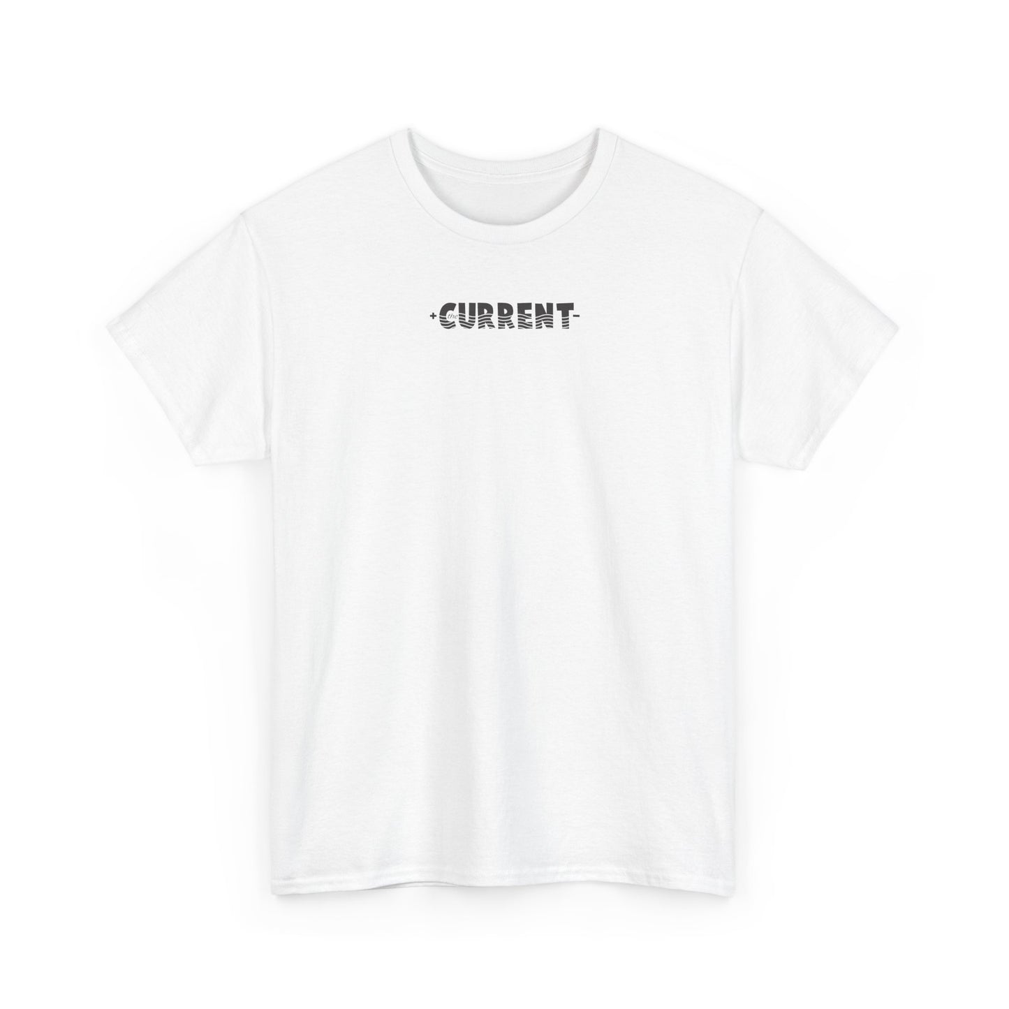 the CURRENT - Big Government Sucks T-Shirt
