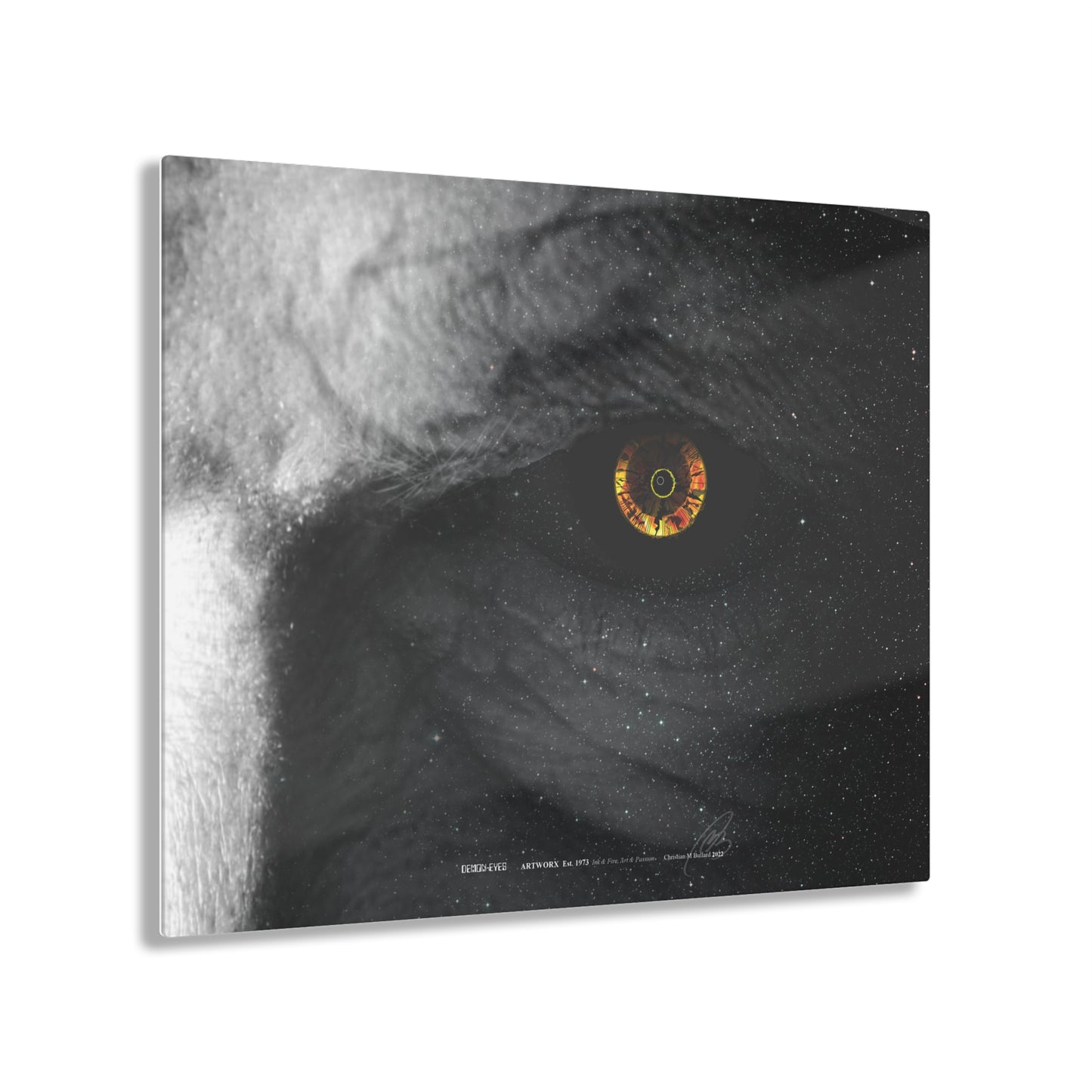 Demon Eyes - Acrylic Panel