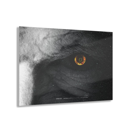 Demon Eyes - Acrylic Panel
