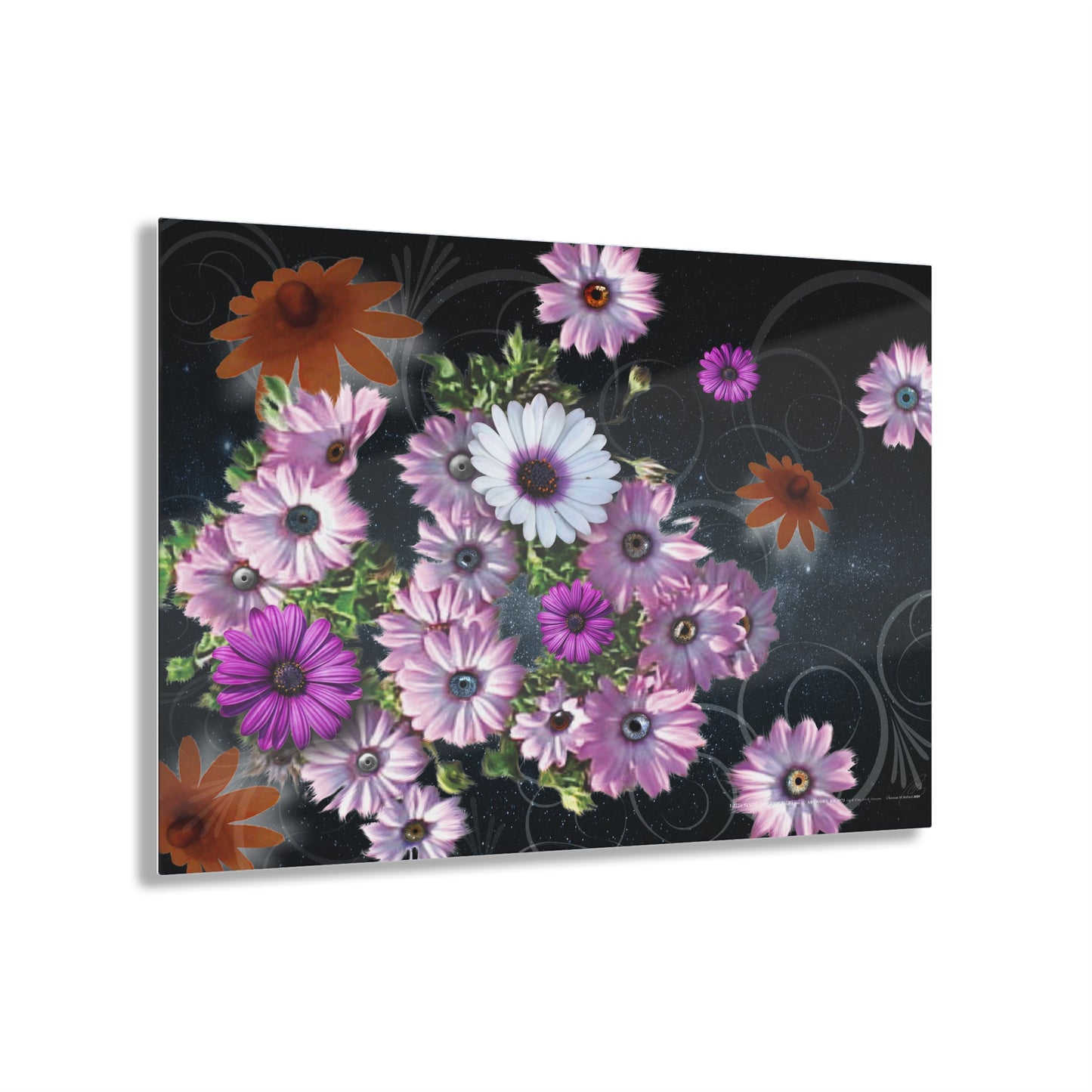 Fuzzy Flying Flip-Fone Flowers - Acrylic Panel