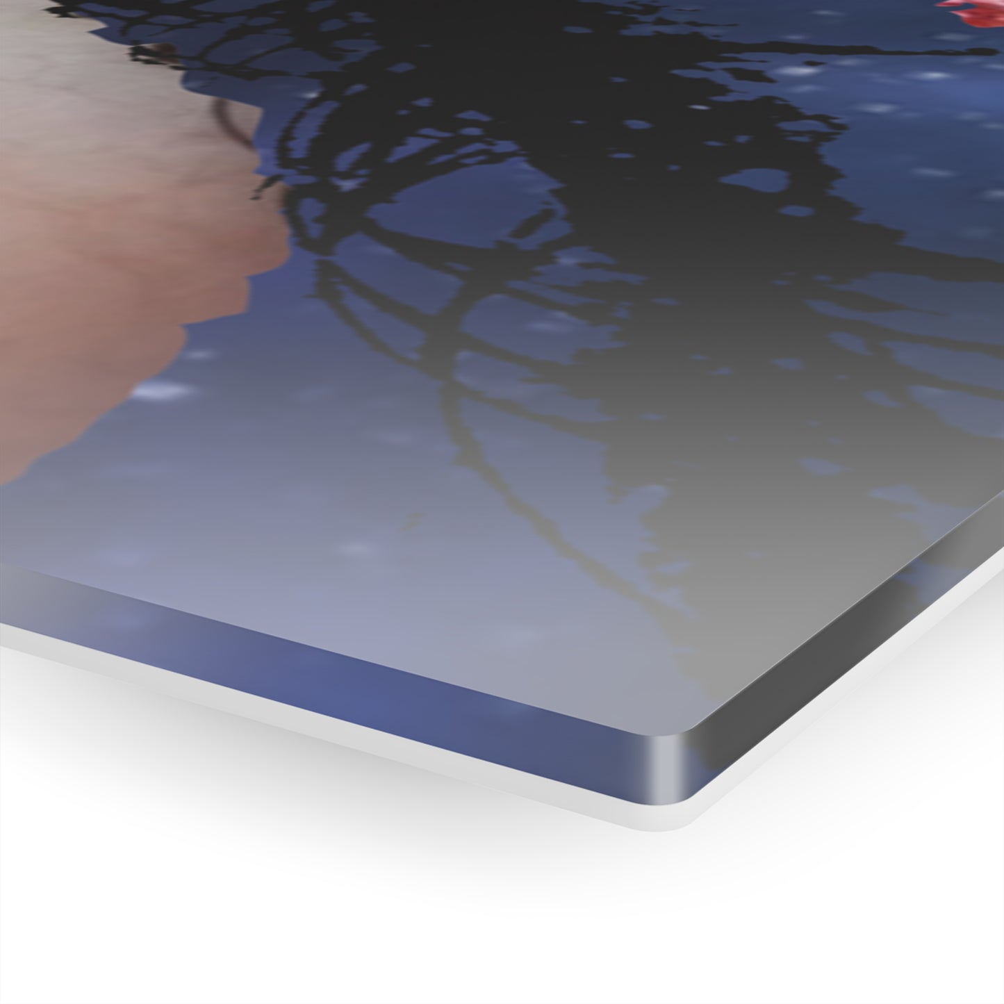 Spacey Eye - Acrylic Panel